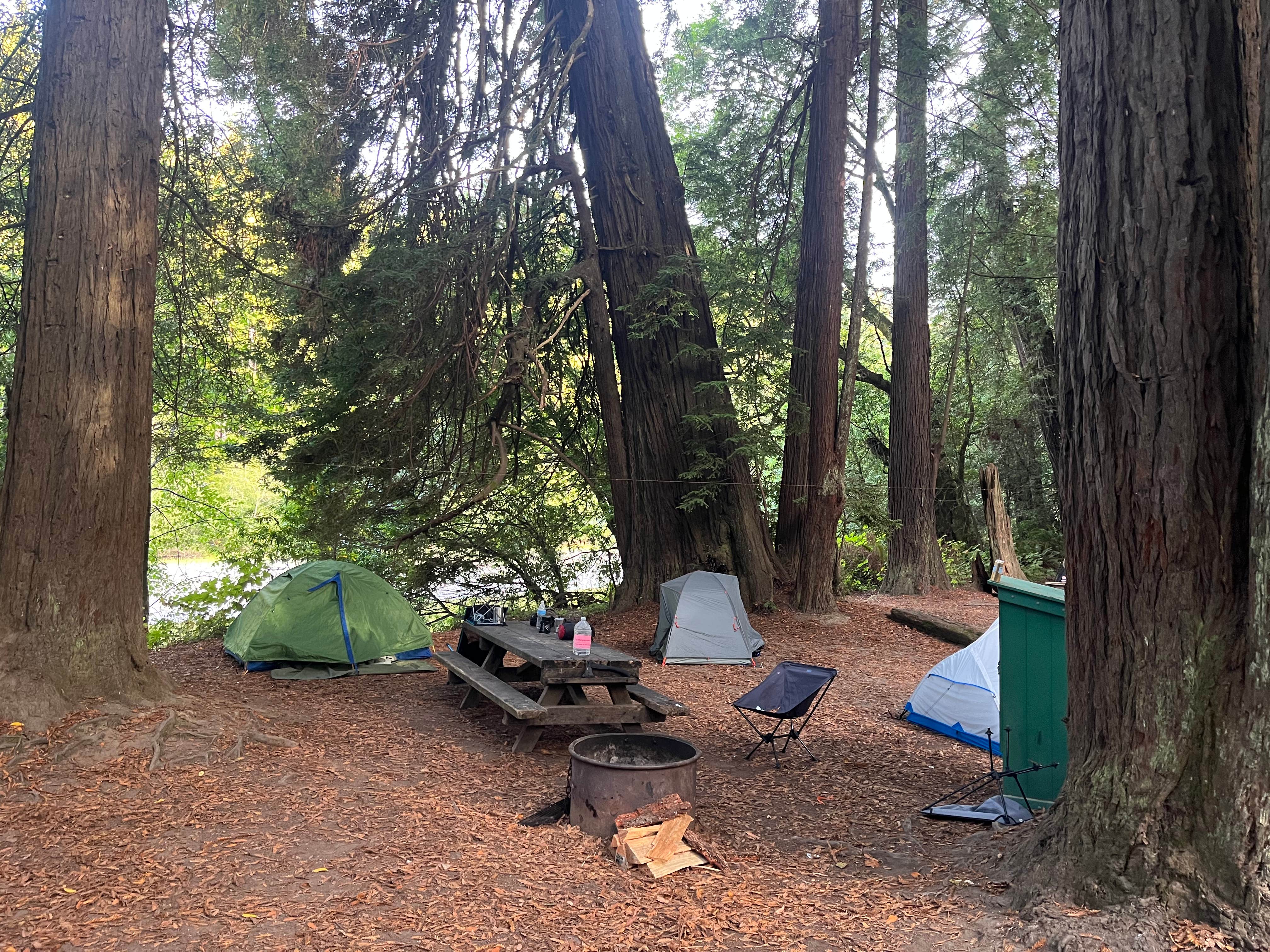 T A.'s photo at Gualala Point Regional Park near Gualala, CA