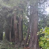 Review photo of Gualala Point Regional Park by Craig B., October 12, 2025