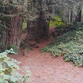 Review photo of Gualala Point Regional Park by Craig B., October 12, 2025