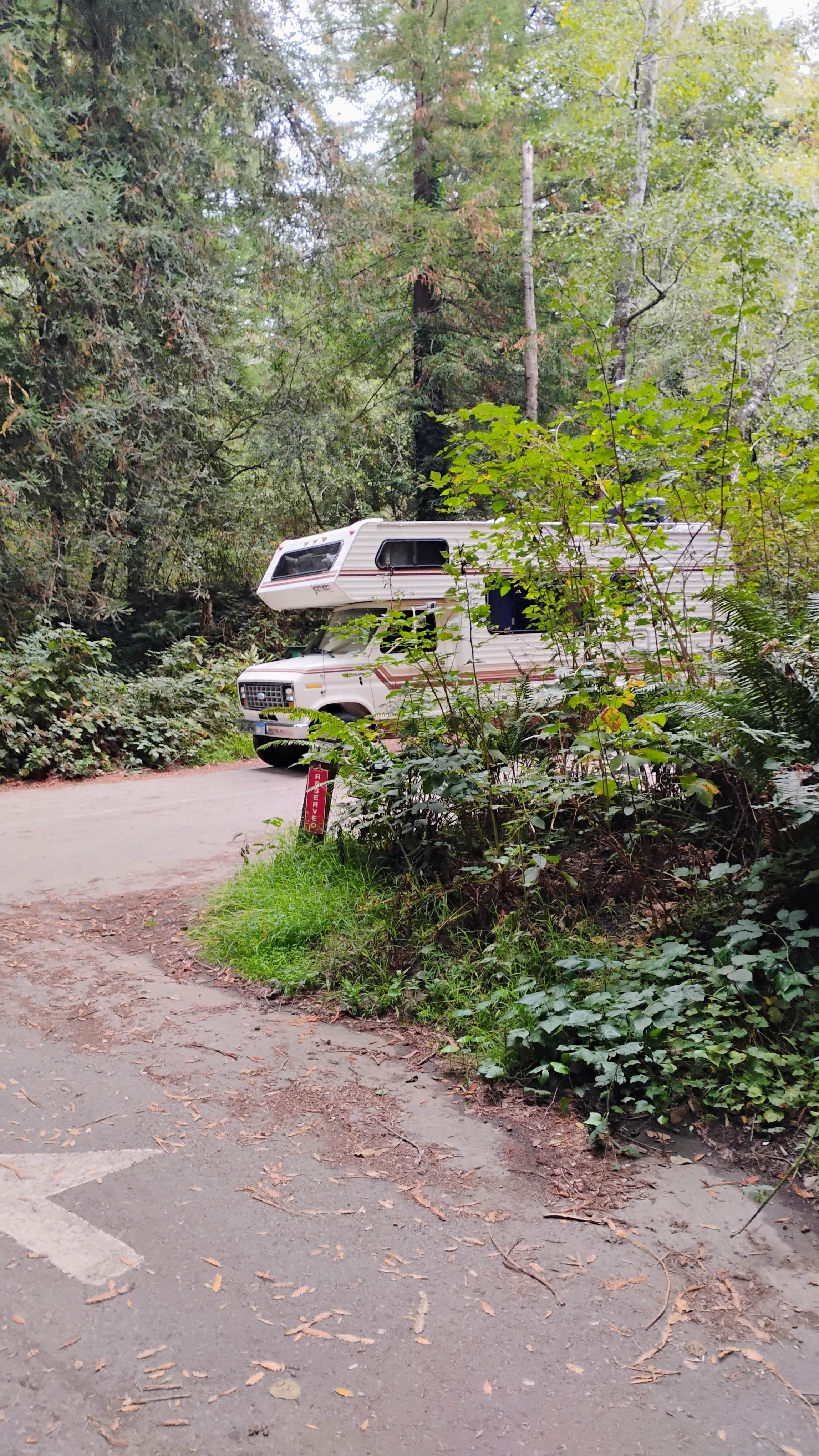 Craig B.'s photo of rv camping at Gualala Point Regional Park near Gualala, CA