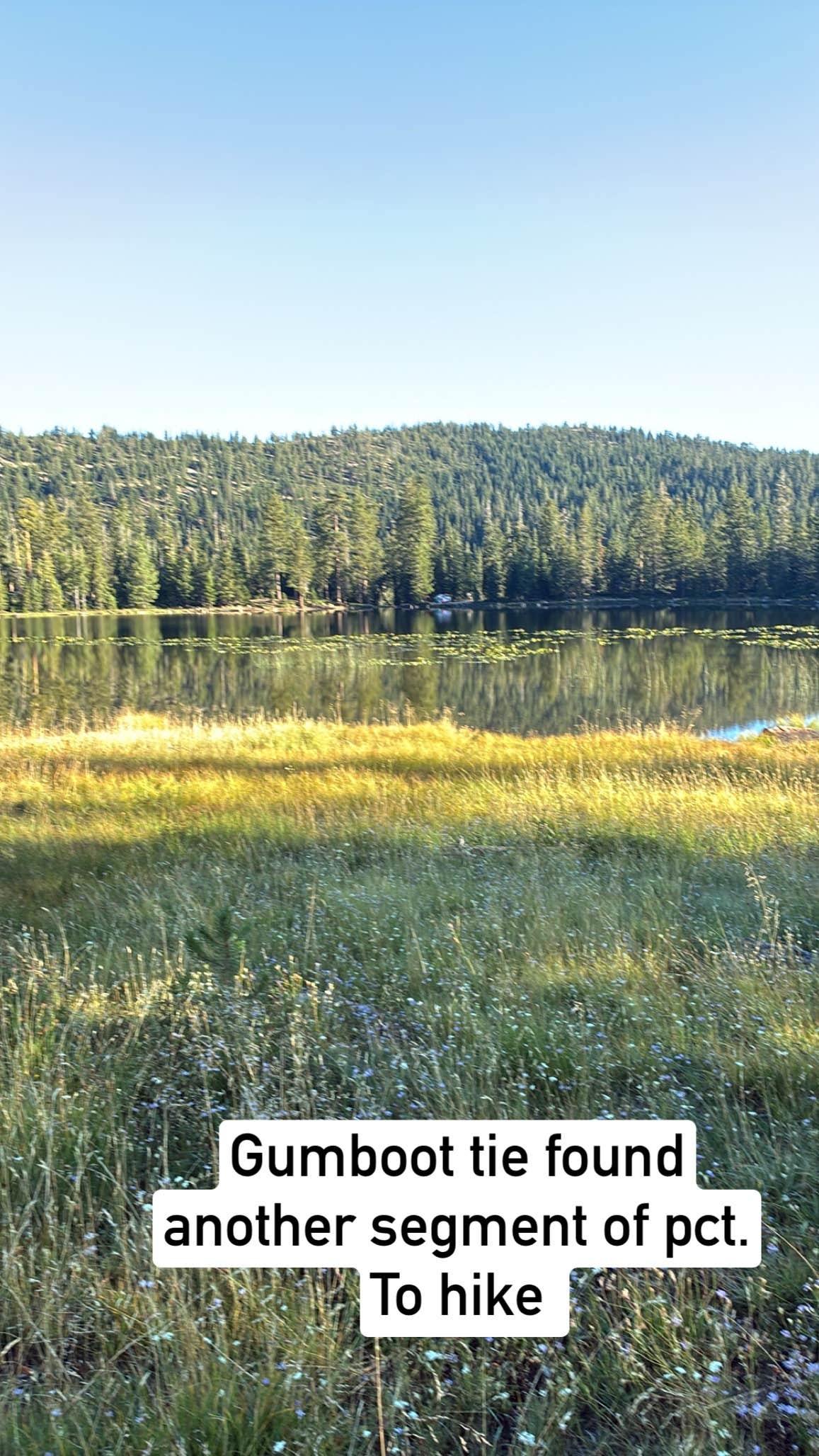 Camper-submitted photo at Gumboot Lake Campground near Weed, CA