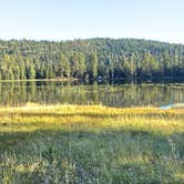 Review photo of Gumboot Lake Campground by Maxamillion P., July 17, 2026