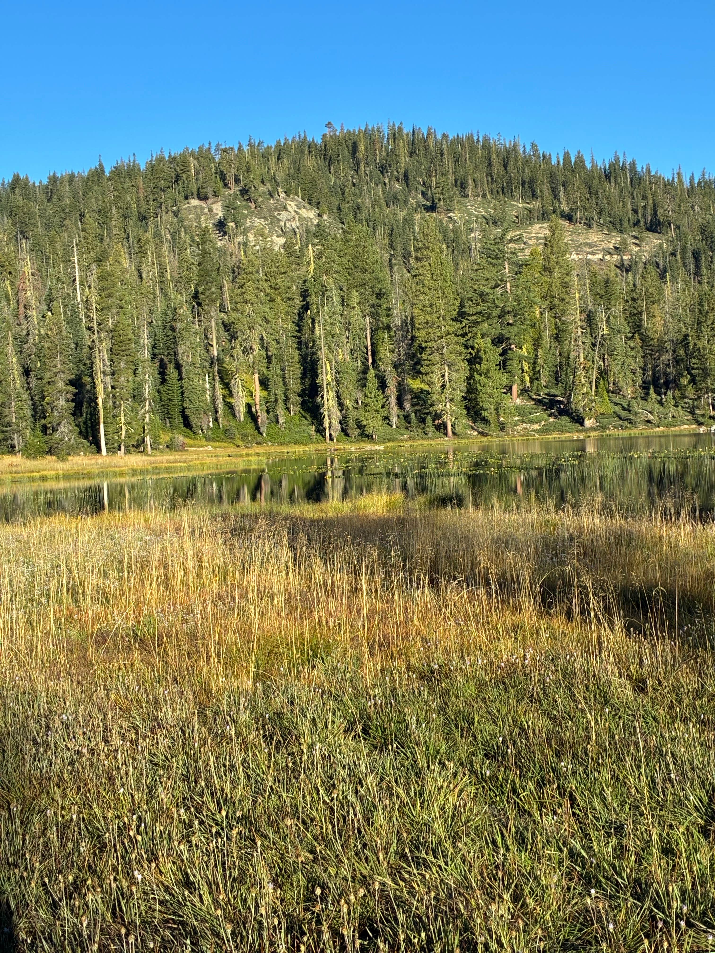 Camper-submitted photo at Gumboot Lake Campground near Weed, CA