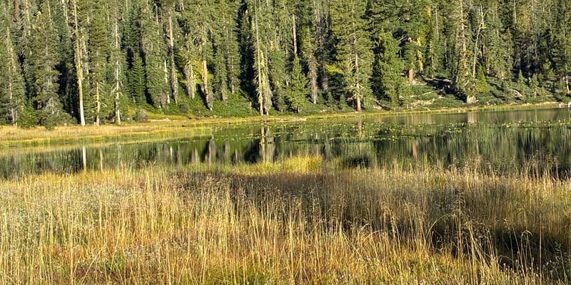 Camper submitted image from Gumboot Lake Campground