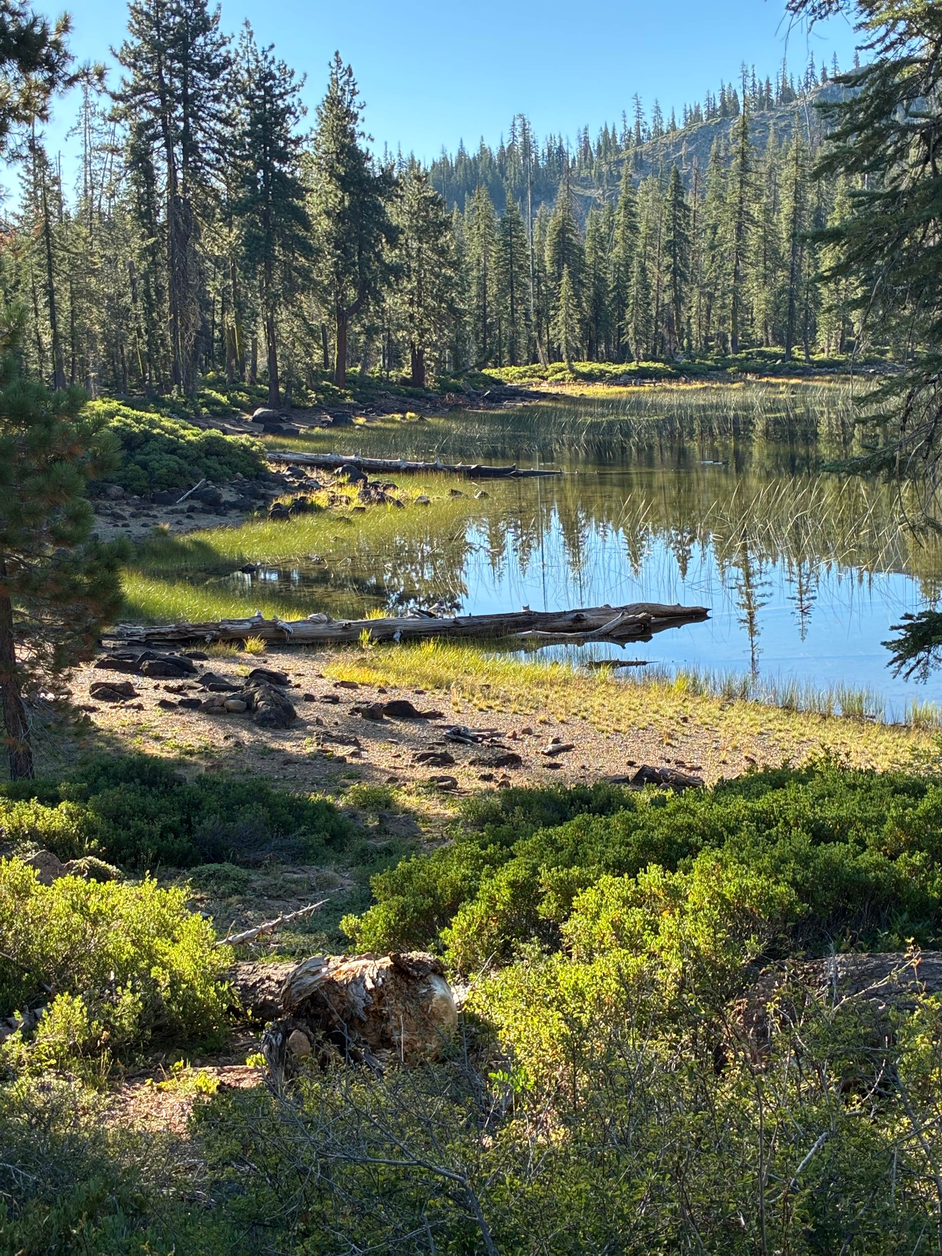 Camper-submitted photo at Gumboot Lake Campground near Weed, CA