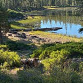 Review photo of Gumboot Lake Campground by Maxamillion P., July 17, 2026