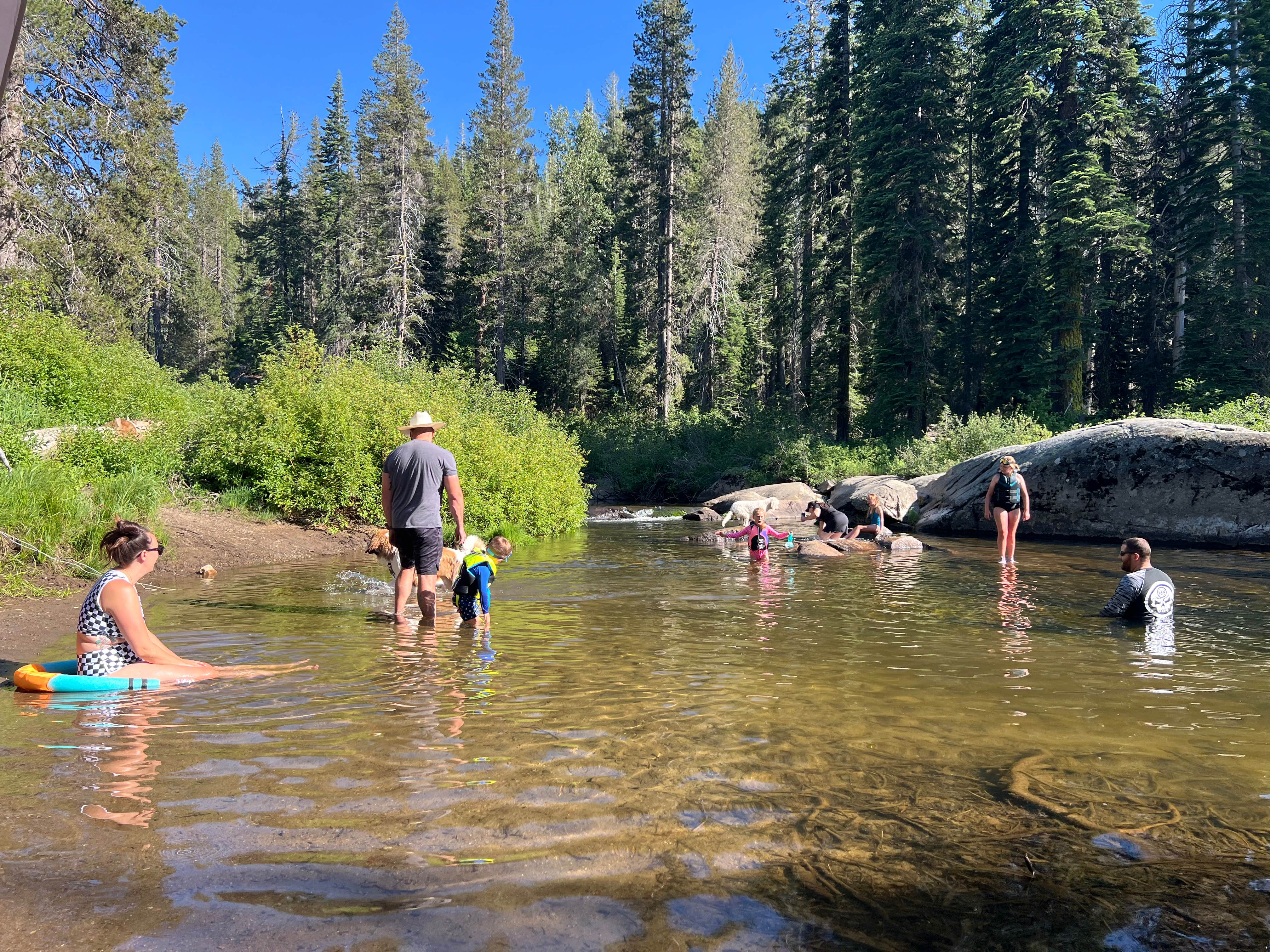 Rob S.'s photo of camping with pets at Hampshire Rocks near Norden, CA