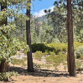Review photo of Hanna Flat Campground by Keith S., November 20, 2025