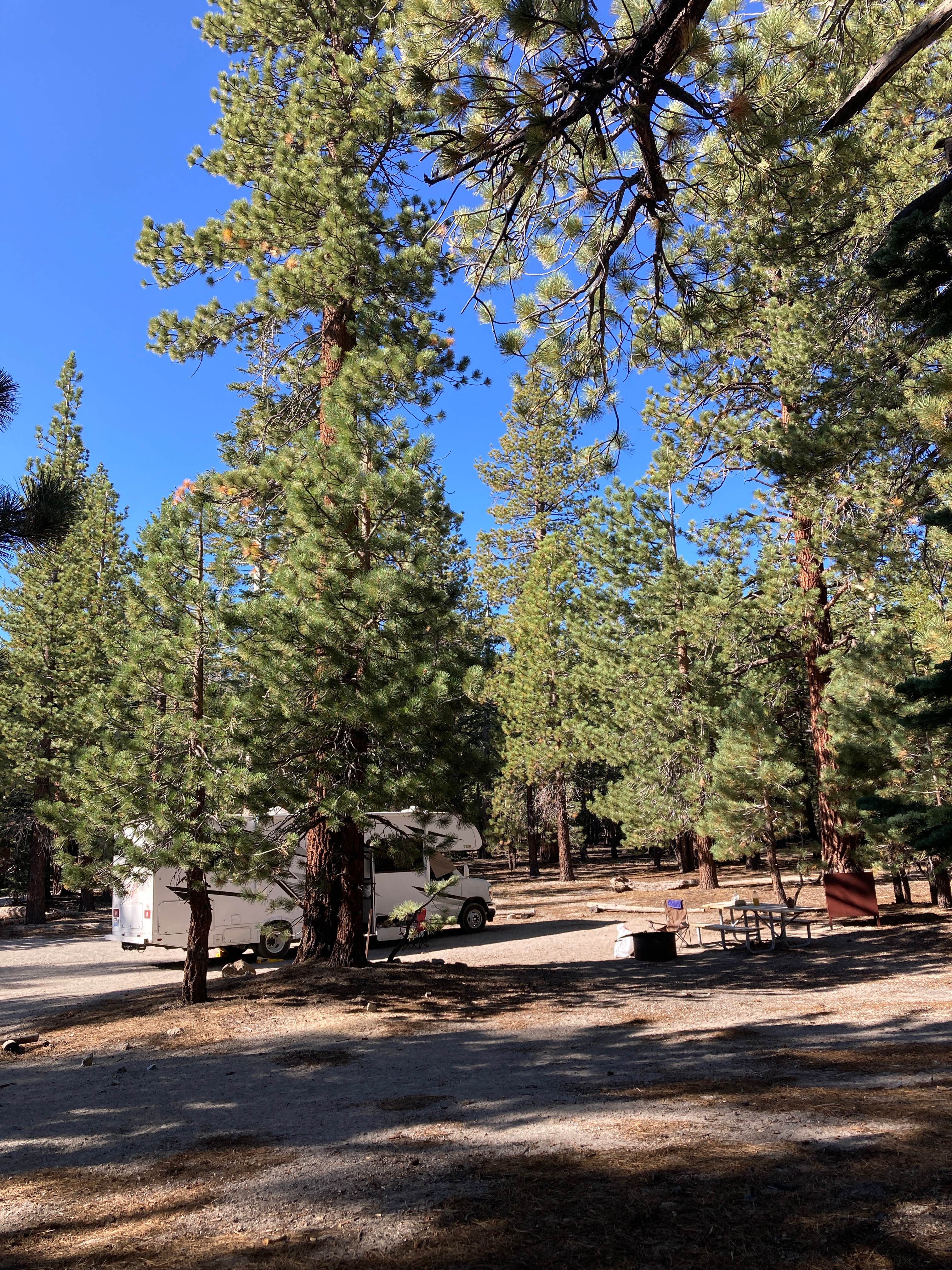 Camper submitted image from Hartley Springs Campground - 1