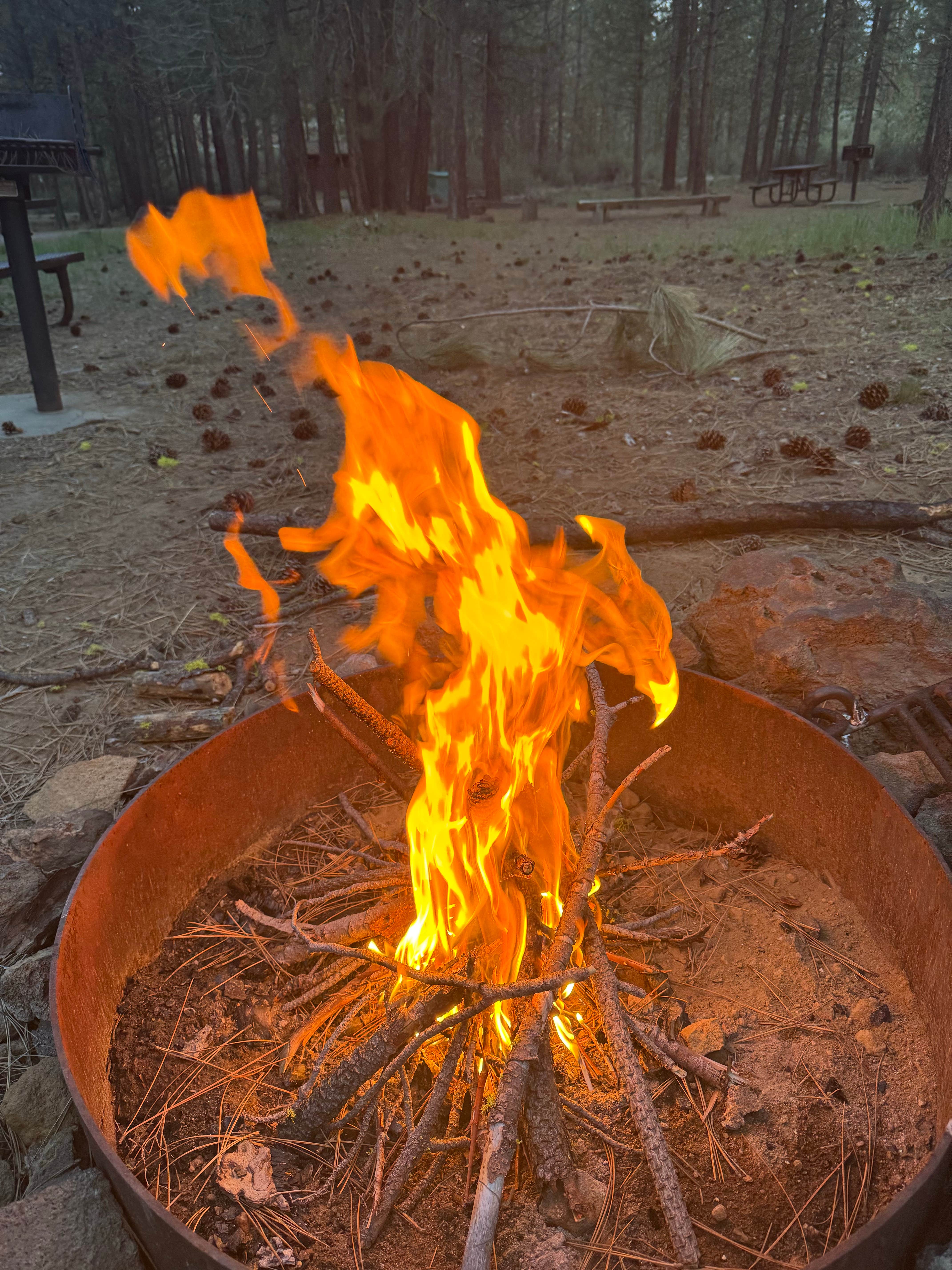 Camper submitted image from Hat Creek - 5