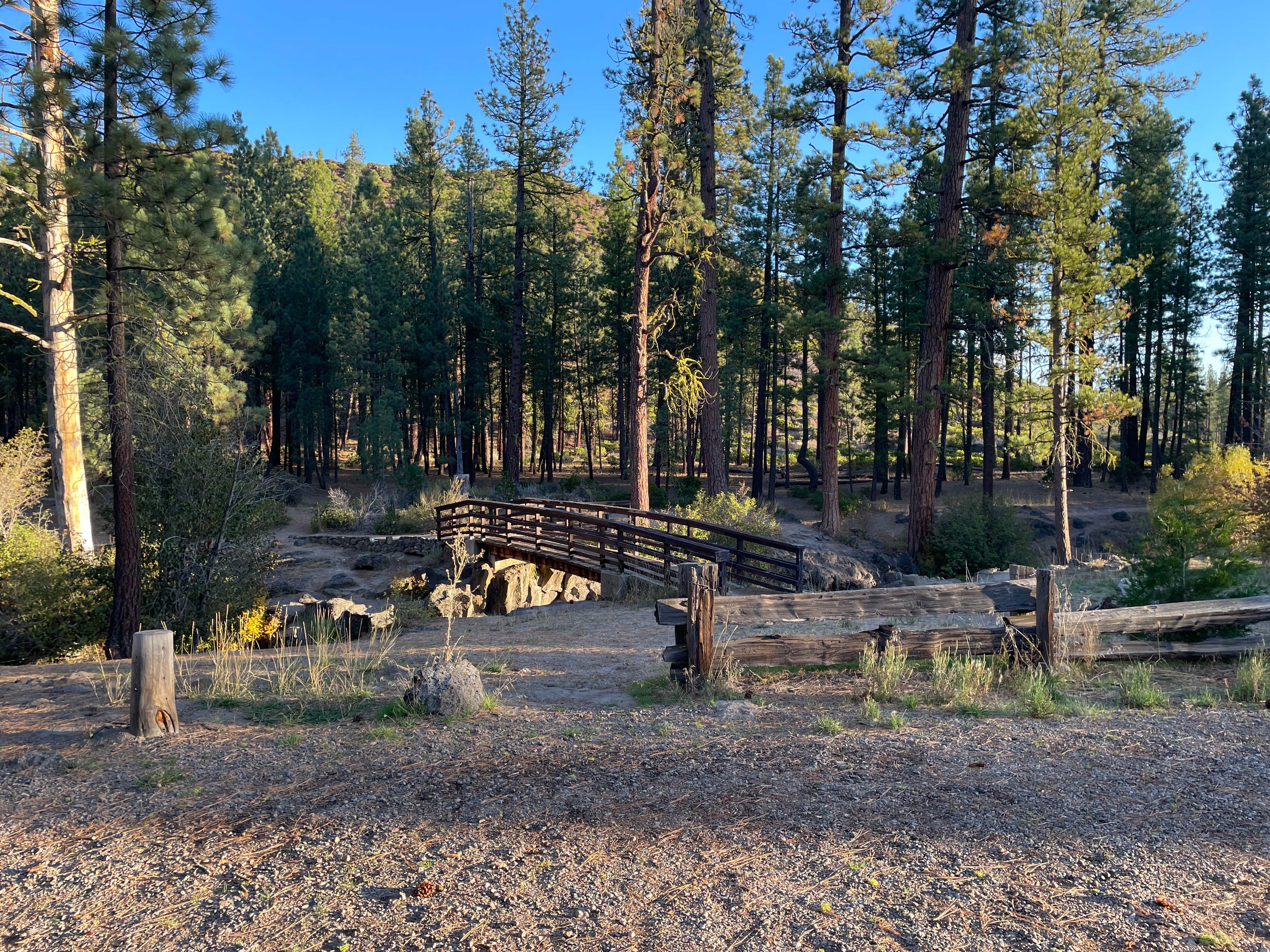 Camper submitted image from Hat Creek - 5