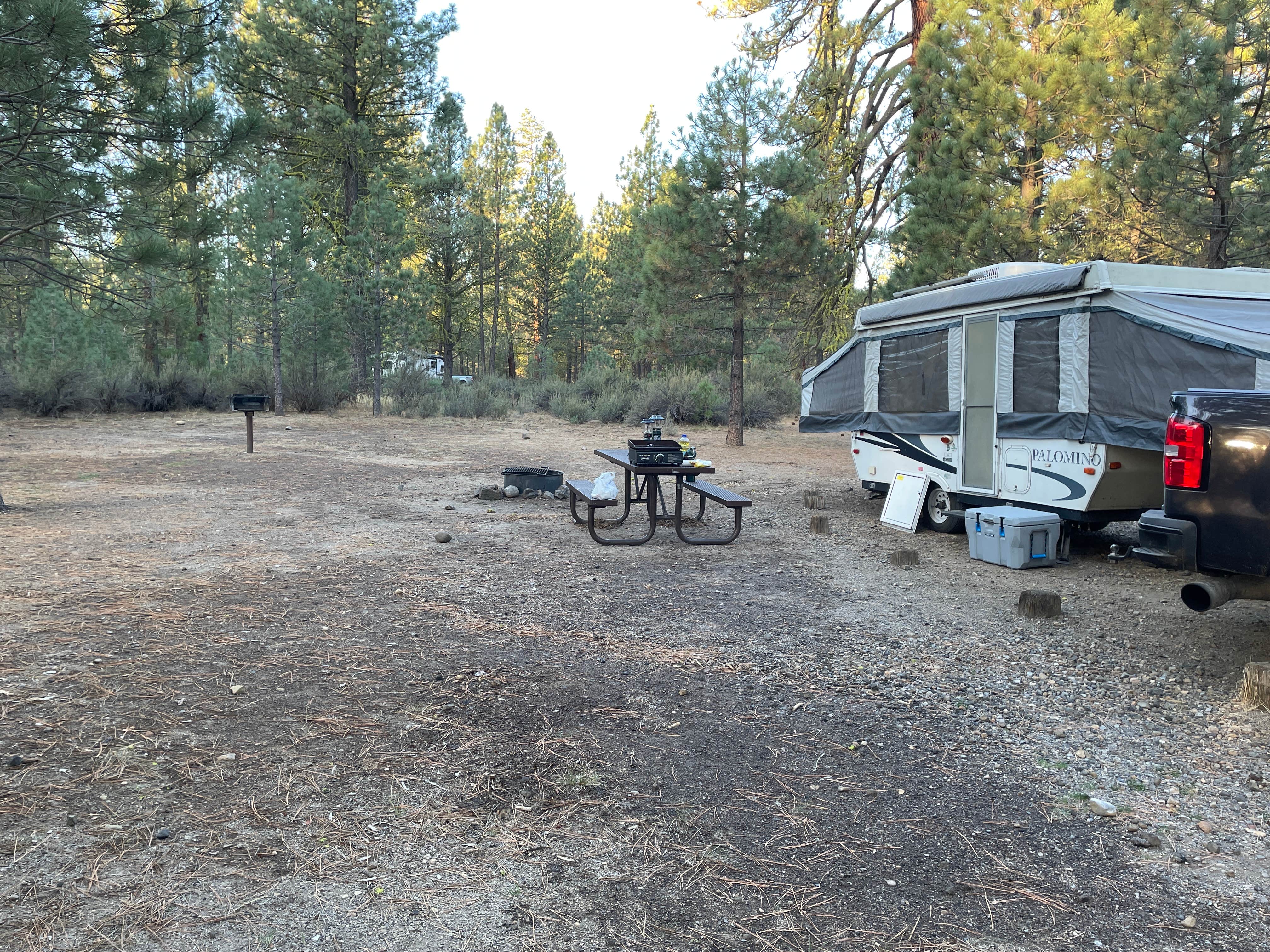 Connie H.'s photo at Hat Creek near Cassel, CA