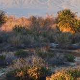 Review photo of Headquarters Campground — Salton Sea State Recreation Area by mike J., March 7, 2024