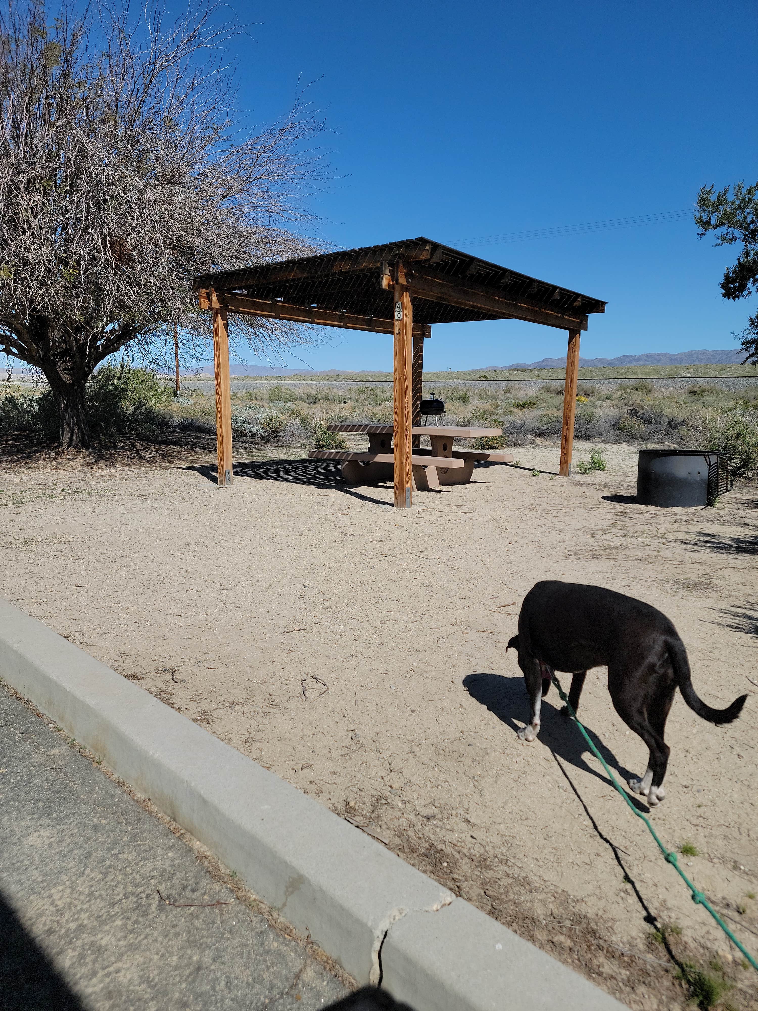 mike J.'s photo of camping with pets at Headquarters Campground — Salton Sea State Recreation Area near Niland, CA