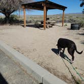 Review photo of Headquarters Campground — Salton Sea State Recreation Area by mike J., March 7, 2024