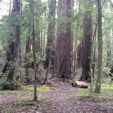 Review photo of Hendy Woods State Park Campground by Bruce E., May 7, 2025