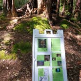 Review photo of Hendy Woods State Park Campground by Bruce E., May 7, 2025