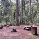 Review photo of Hendy Woods State Park Campground by Theodore S., April 11, 2026
