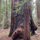 Review photo of Hendy Woods State Park Campground by Theodore S., April 11, 2026