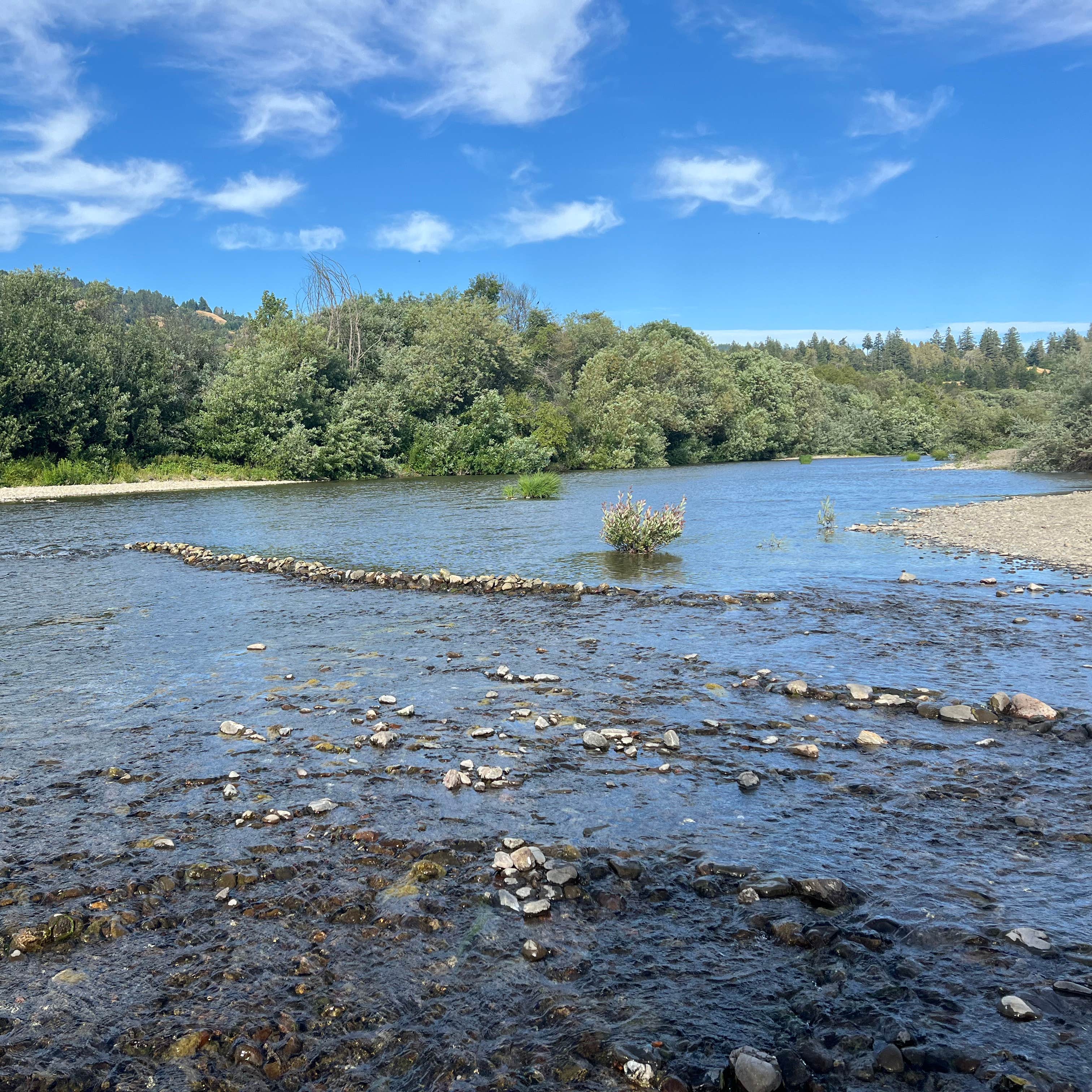 Hendy Woods State Park Campground | Mendocino, CA