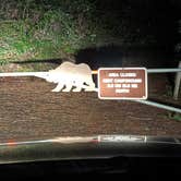 Review photo of Hidden Springs Campground — Humboldt Redwoods State Park by Kevin P., December 3, 2025