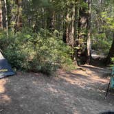 Review photo of Hidden Springs Campground — Humboldt Redwoods State Park by Amy R., July 18, 2025