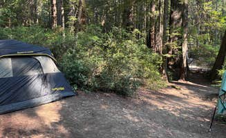 Amy R.'s photo at Hidden Springs Campground — Humboldt Redwoods State Park in California