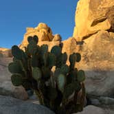 Review photo of Hidden Valley Campground — Joshua Tree National Park by accalia F., October 28, 2025