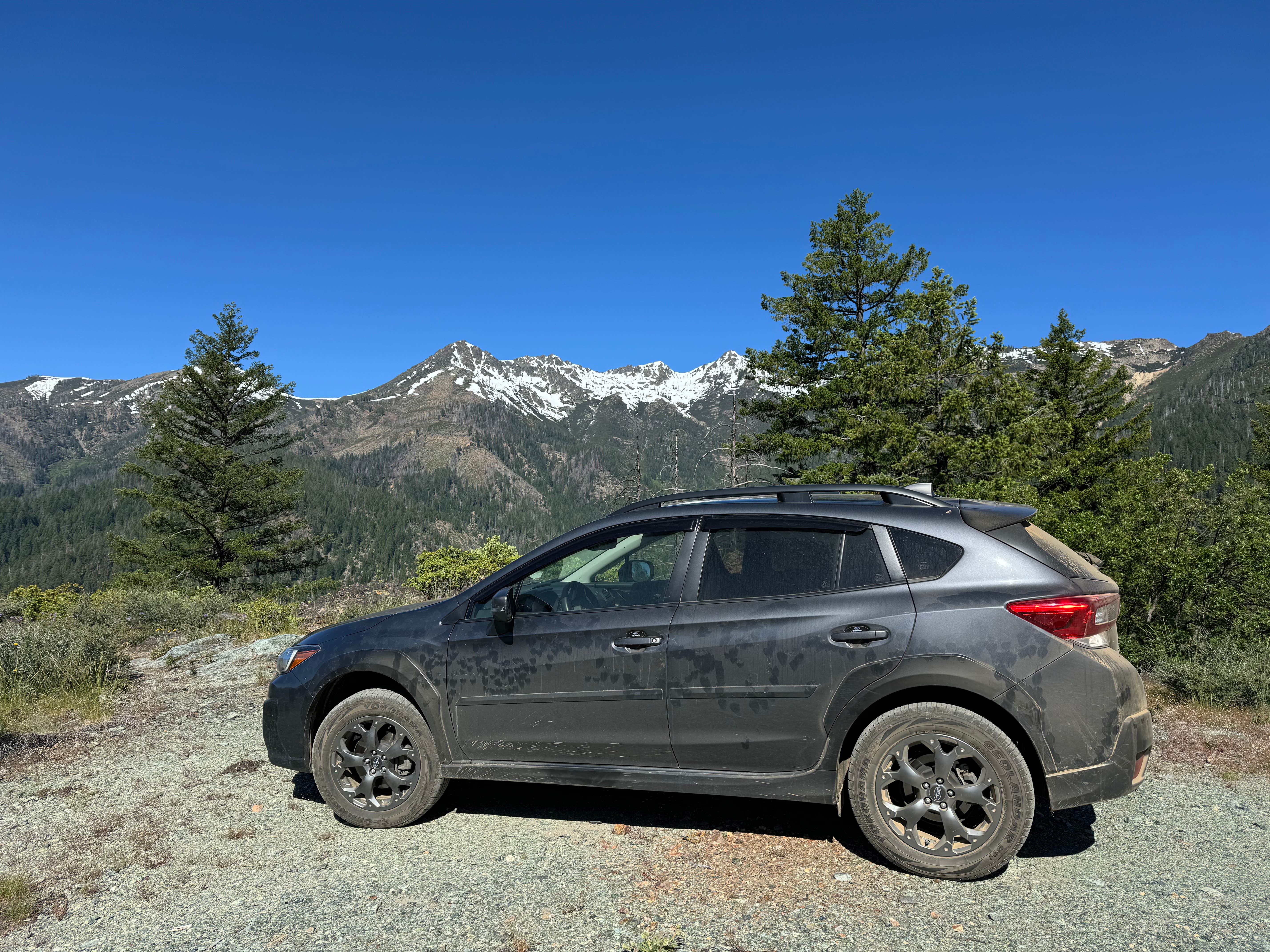 Camper submitted image from Hobo Gulch Campground - 2