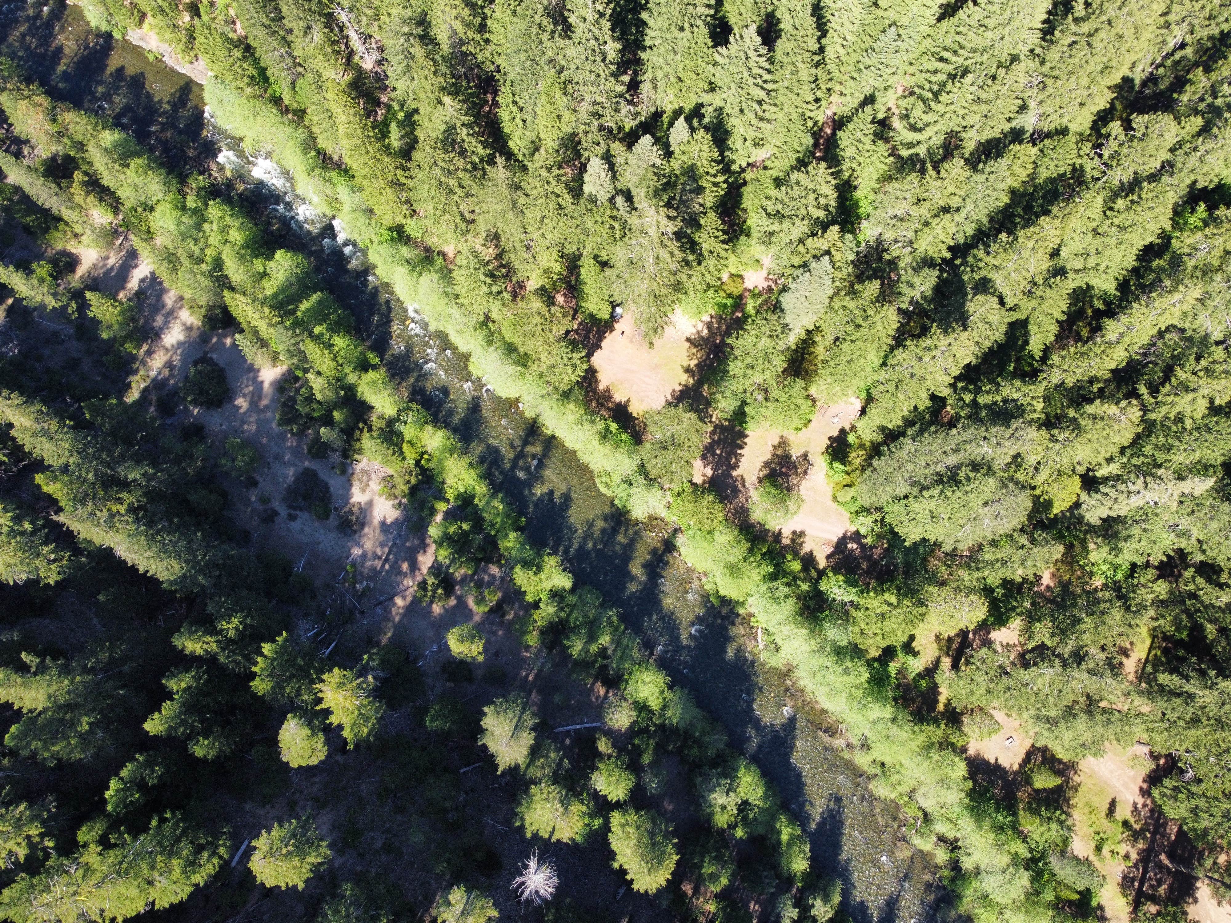 Camper-submitted photo at Hobo Gulch Campground near Helena, CA