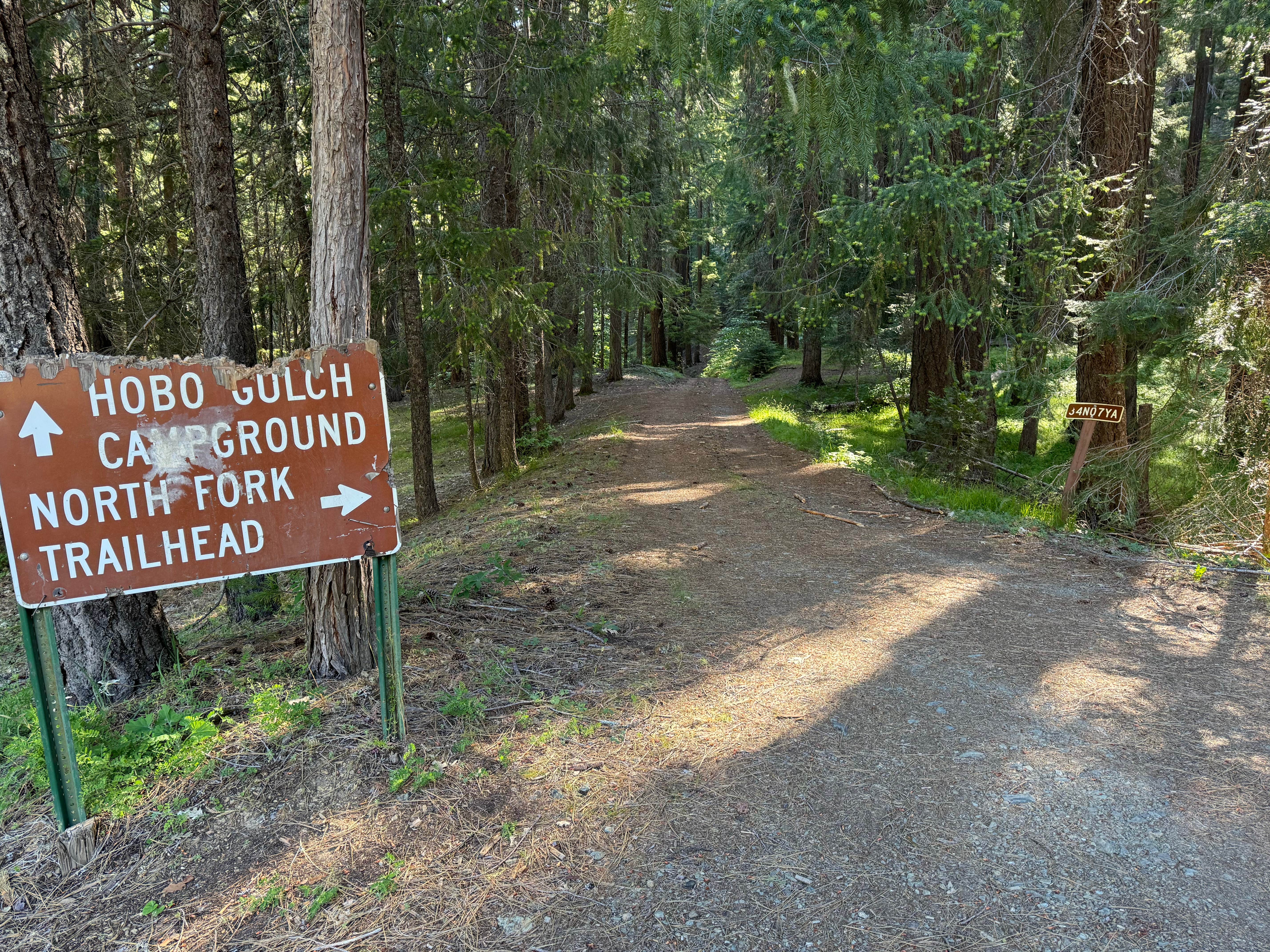 Camper submitted image from Hobo Gulch Campground - 4