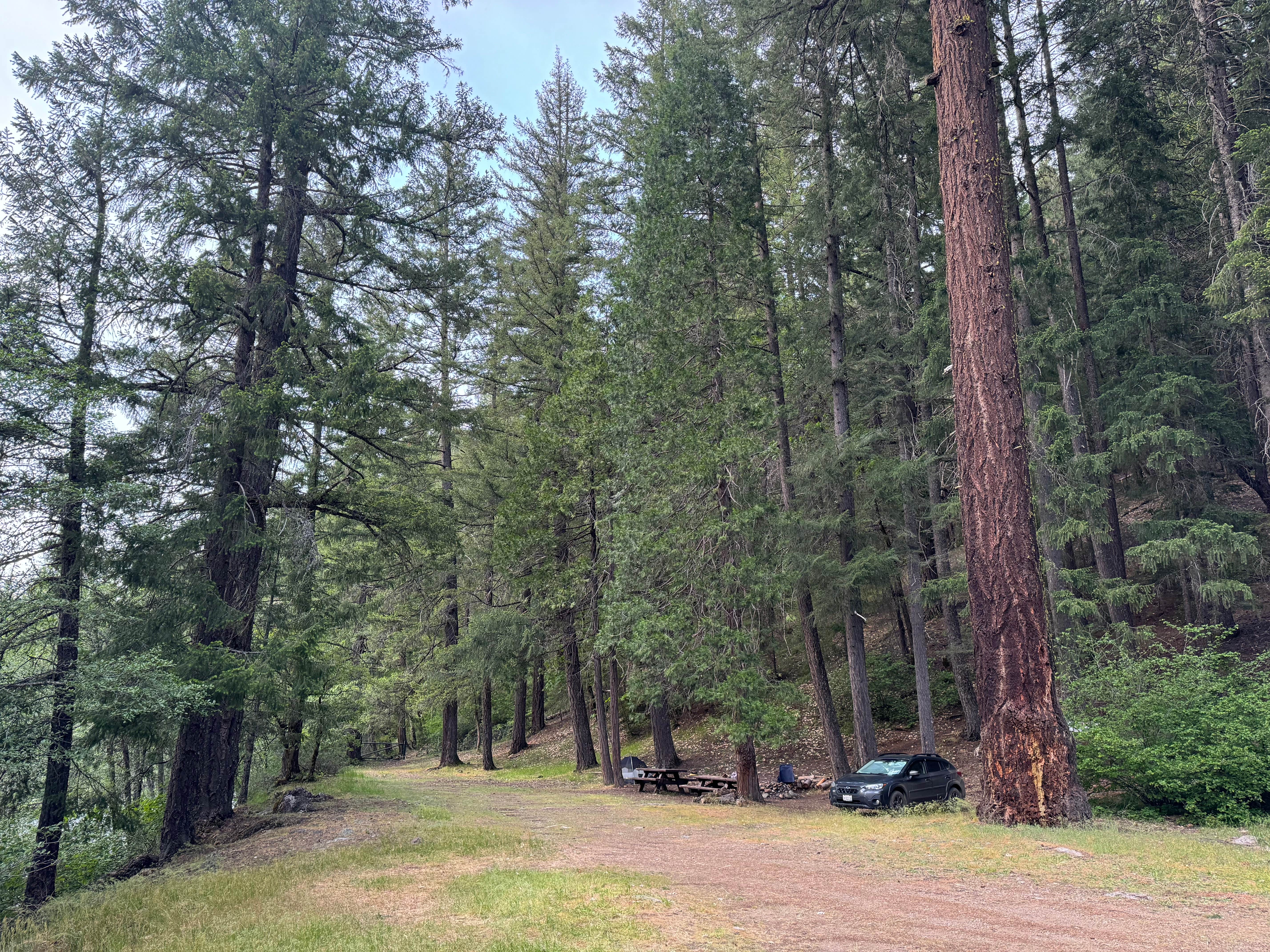 Camper-submitted photo at Hobo Gulch Campground near Helena, CA