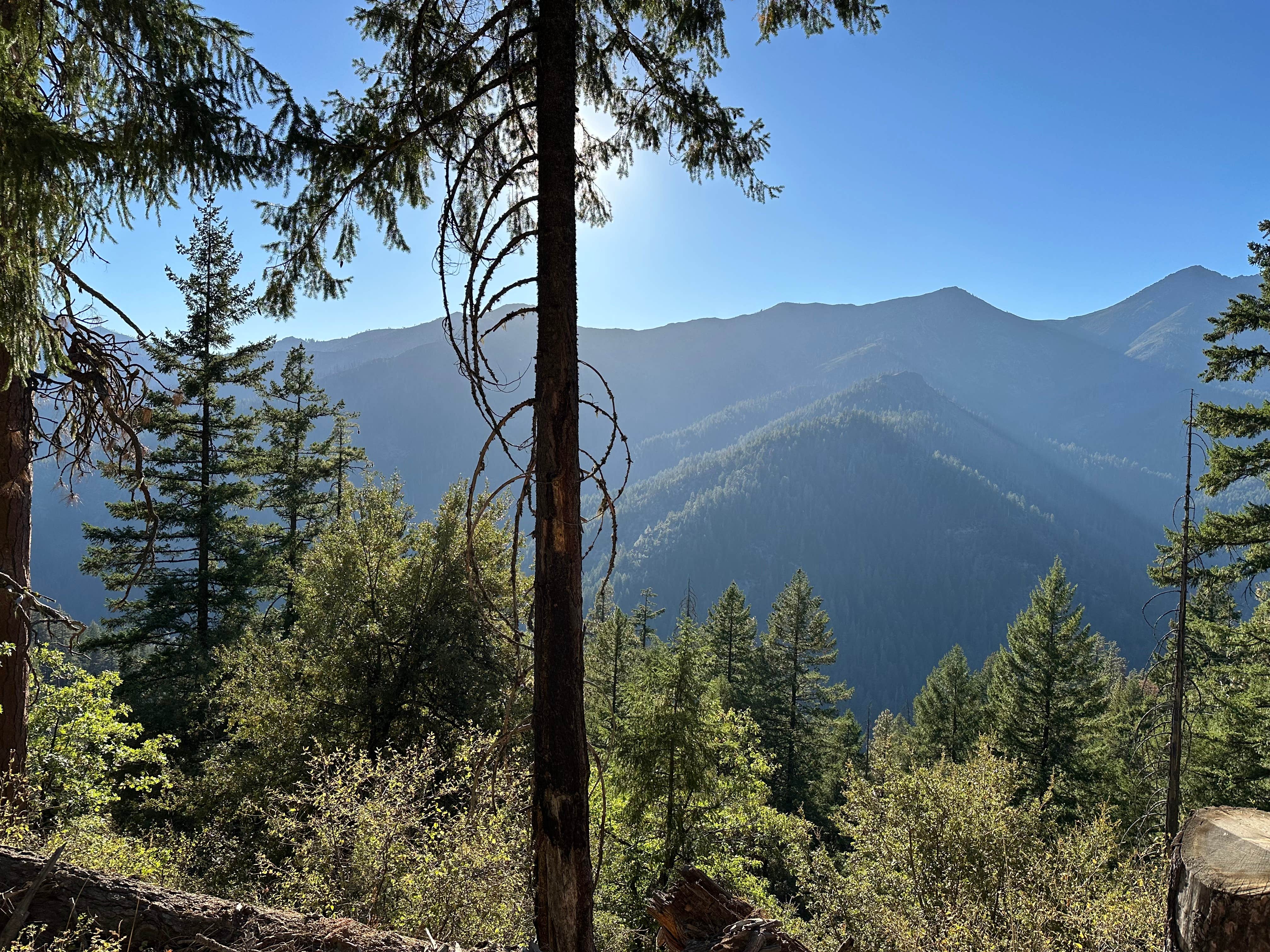 Camper-submitted photo at Hobo Gulch Campground near Helena, CA