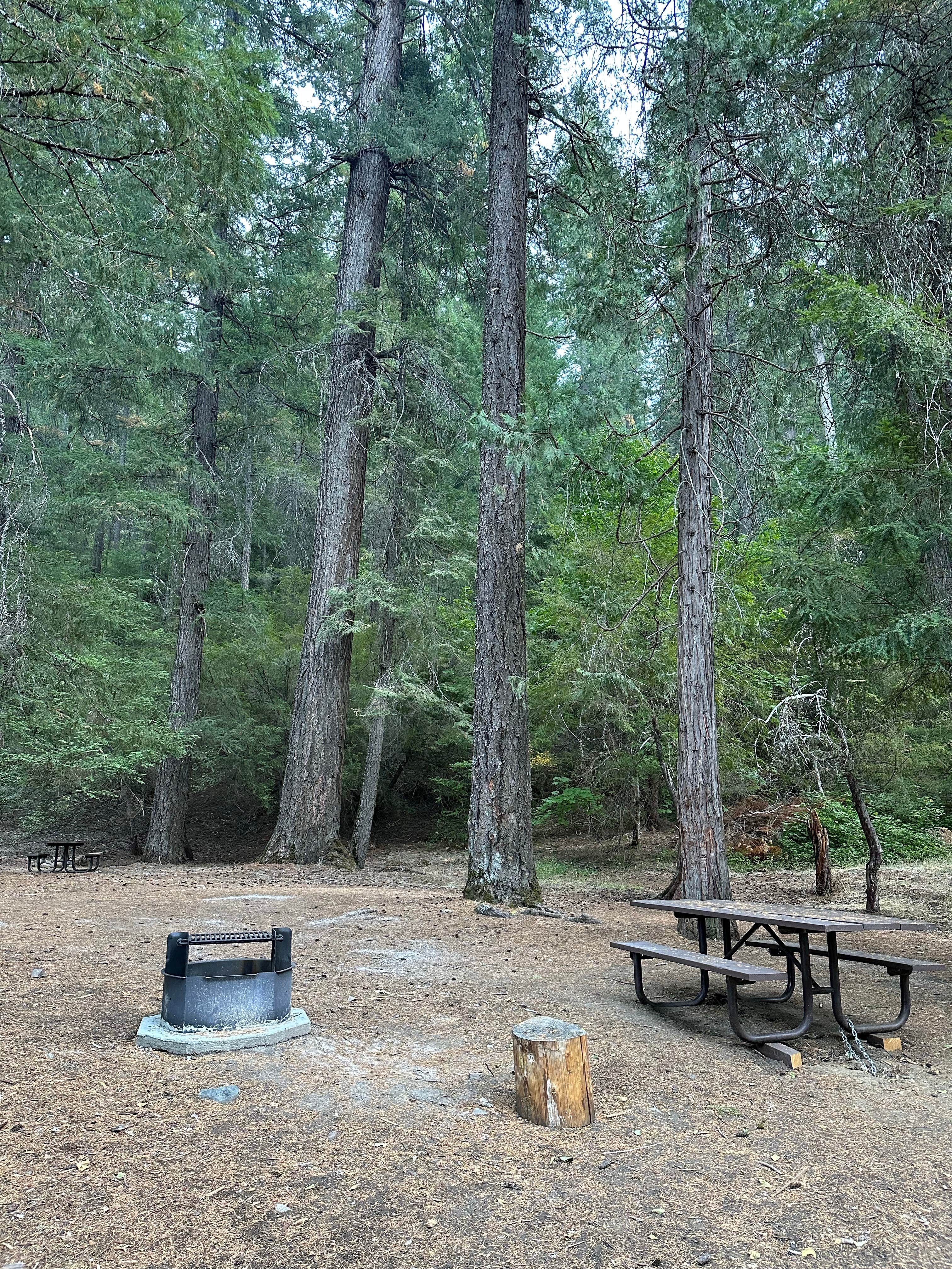 Camper-submitted photo at Hobo Gulch Campground near Helena, CA