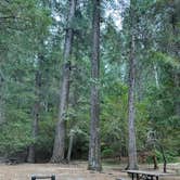 Review photo of Hobo Gulch Campground by Samuel H., October 1, 2024