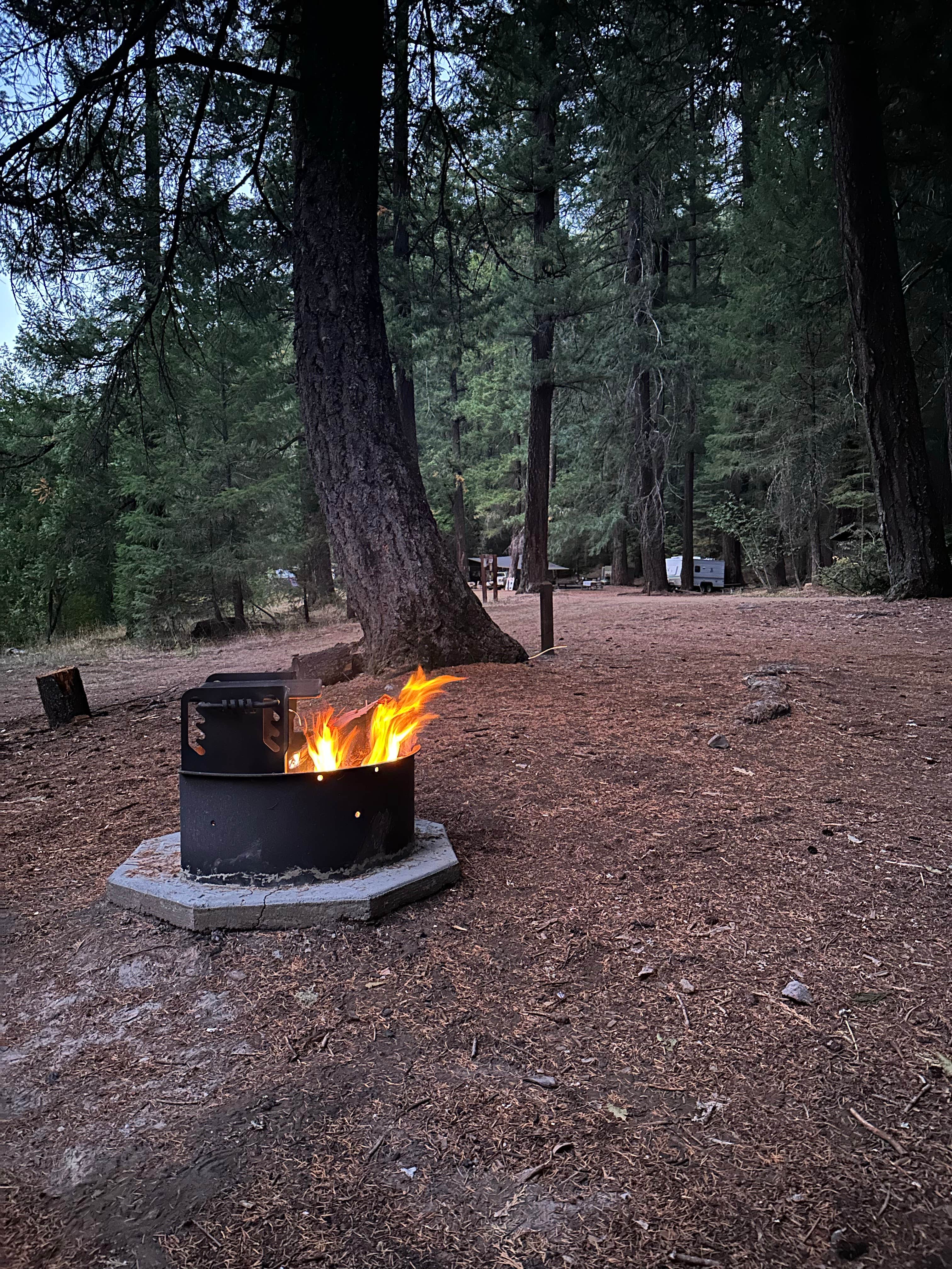 Camper submitted image from Hobo Gulch Campground - 1