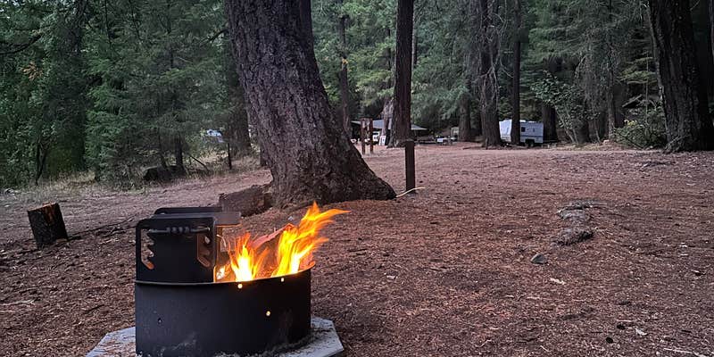 Camper submitted image from Hobo Gulch Campground