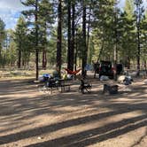 Review photo of Holcomb Valley Campground by Jacob S., September 10, 2023