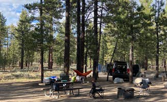 Jacob S.'s photo at Holcomb Valley Campground near Fawnskin, CA
