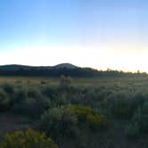 Review photo of Holcomb Valley Campground by melinna , August 26, 2024