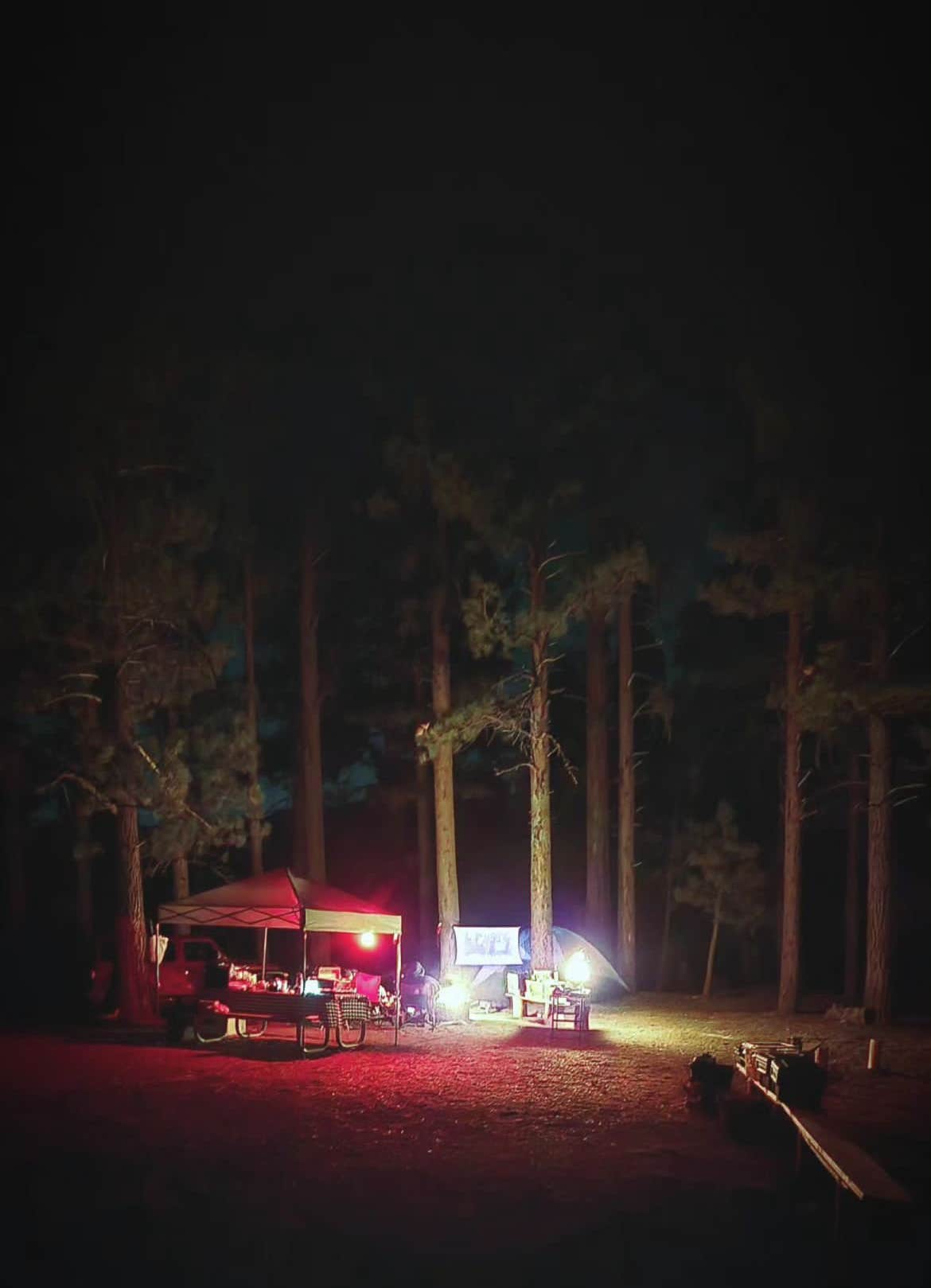 Camper-submitted photo at Holcomb Valley Campground near Big Bear Lake, CA