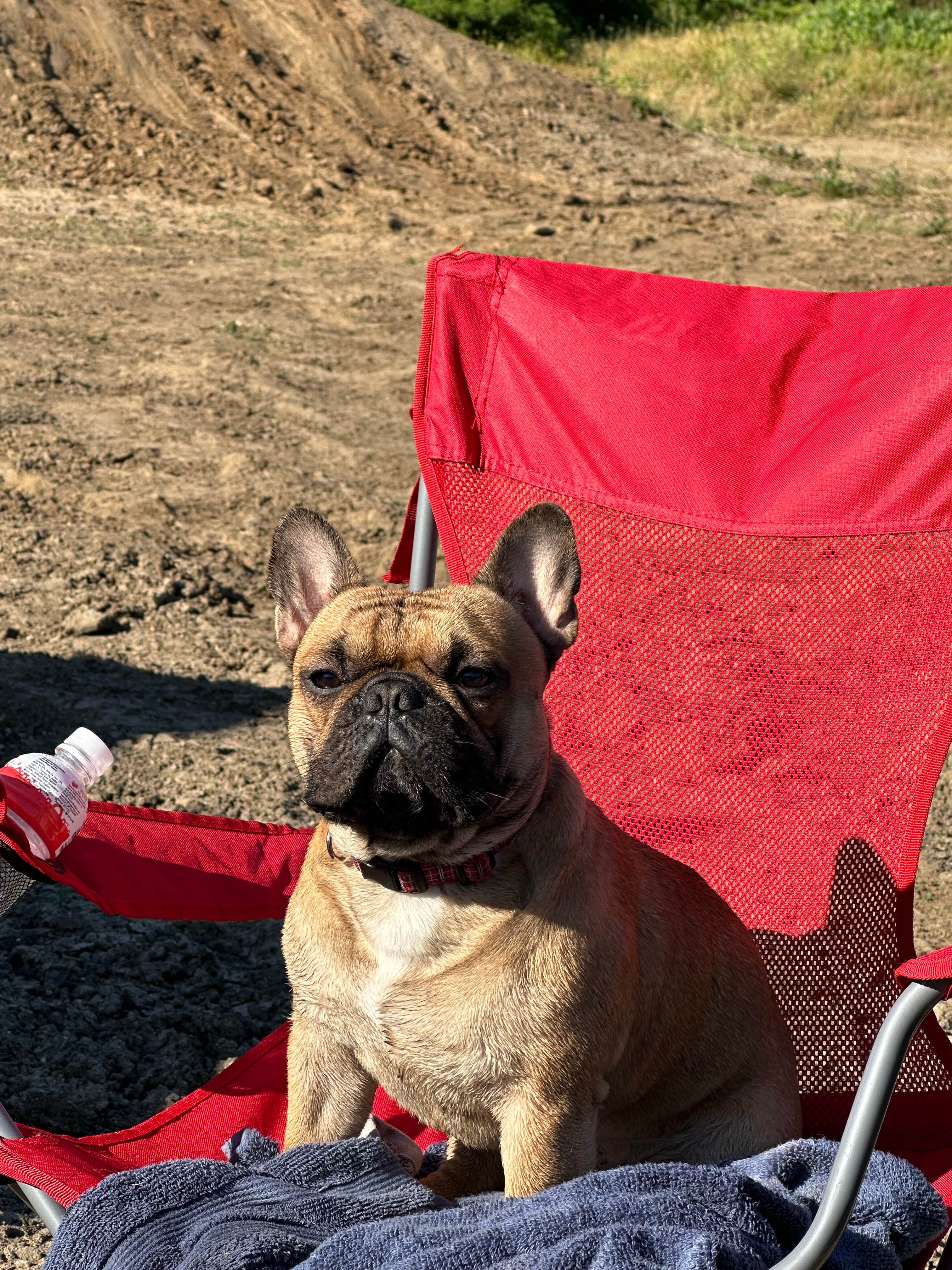 Jaime  G.'s photo of camping with pets at Hollister Hills State Vehicular Recreation Area — Hollister Hills State Vehicular Recreation Area near Paicines, CA