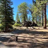 Review photo of Honn Creek Campground by Deb H., June 19, 2024