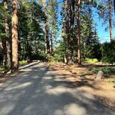 Review photo of Honn Creek Campground by Deb H., June 19, 2024