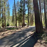 Review photo of Honn Creek Campground by Deb H., June 19, 2024