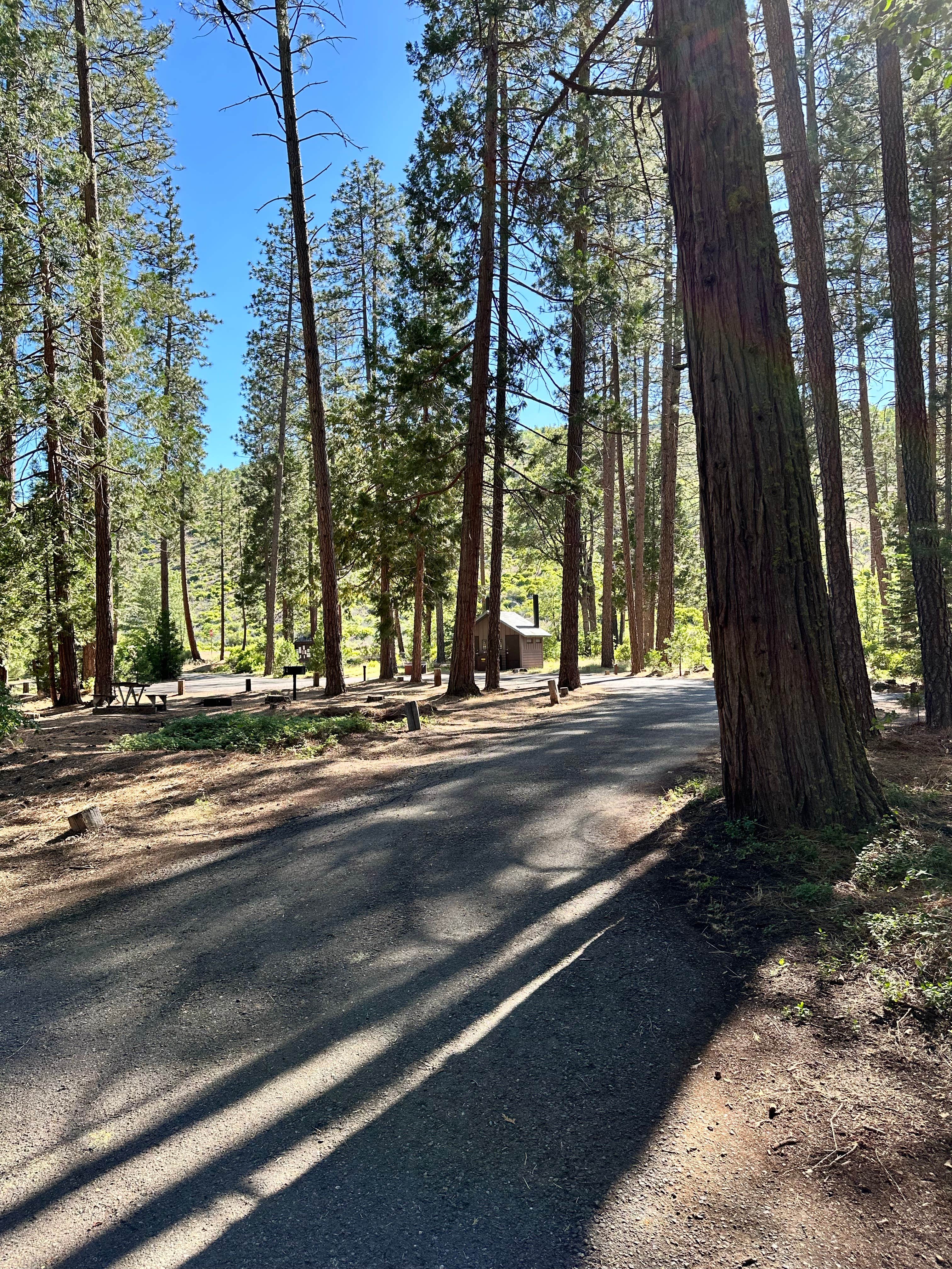 Camper submitted image from Honn Creek Campground - 2