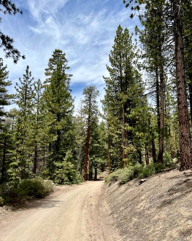 Camper-submitted photo at Horse Meadow Campground near Sequoia National Forest