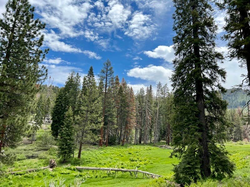 Camper-submitted photo at Horse Meadow Campground near Sequoia National Forest