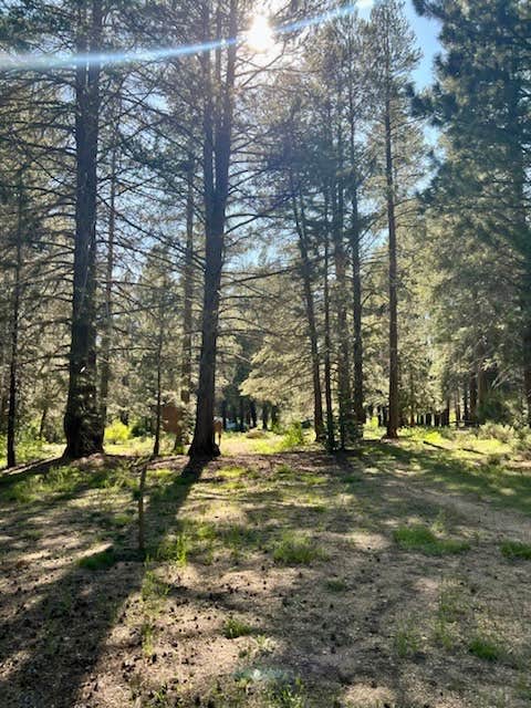 Camper-submitted photo at Horse Meadow Campground near Sequoia National Forest
