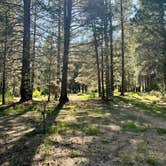 Review photo of Horse Meadow Campground by Joseph Z., December 12, 2024